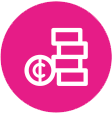 pricing issue icon