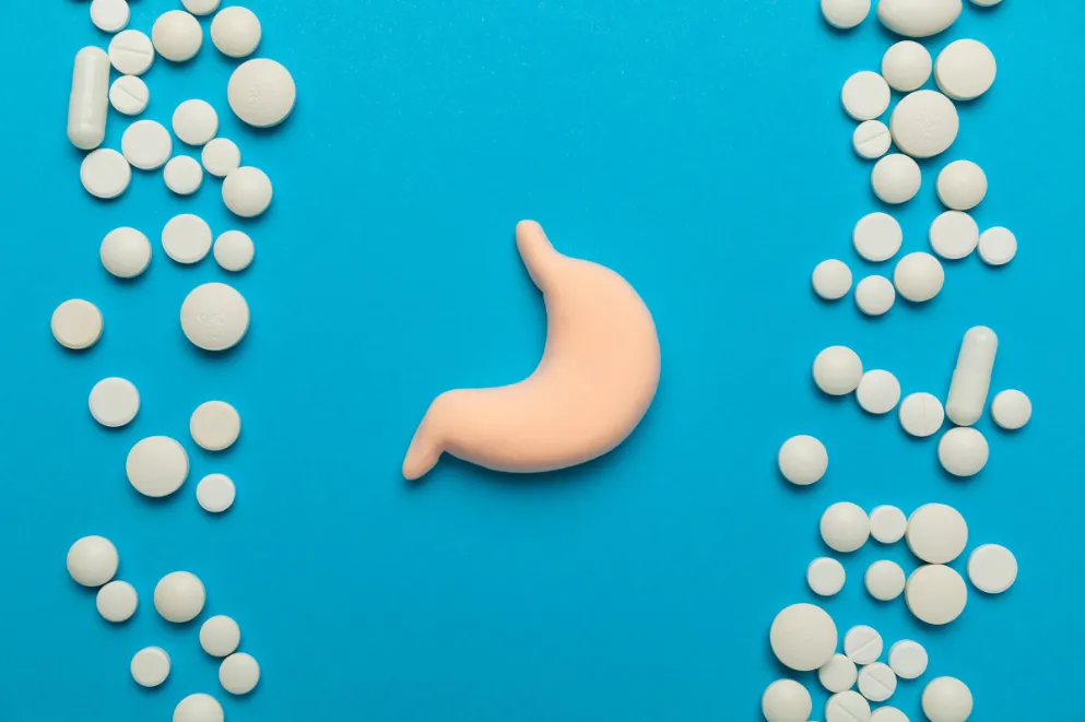 Human stomach model with pills on blue background