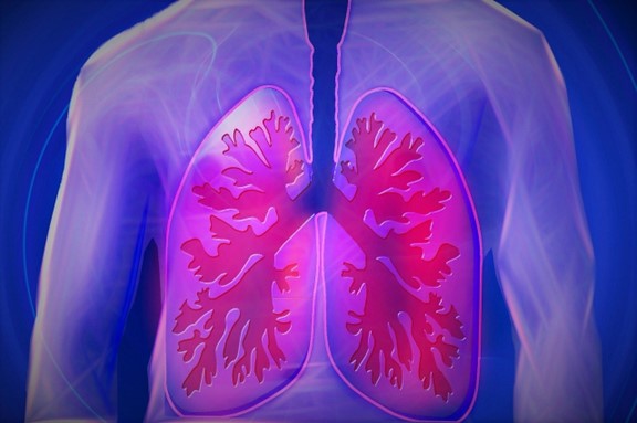 Illustration of lungs