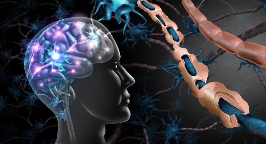 Nervous system