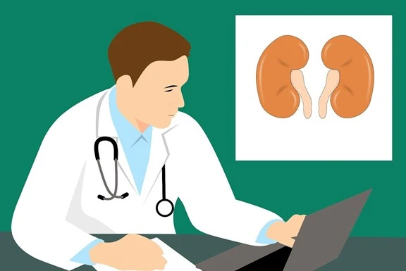 Cartoon of doctor and kidneys image