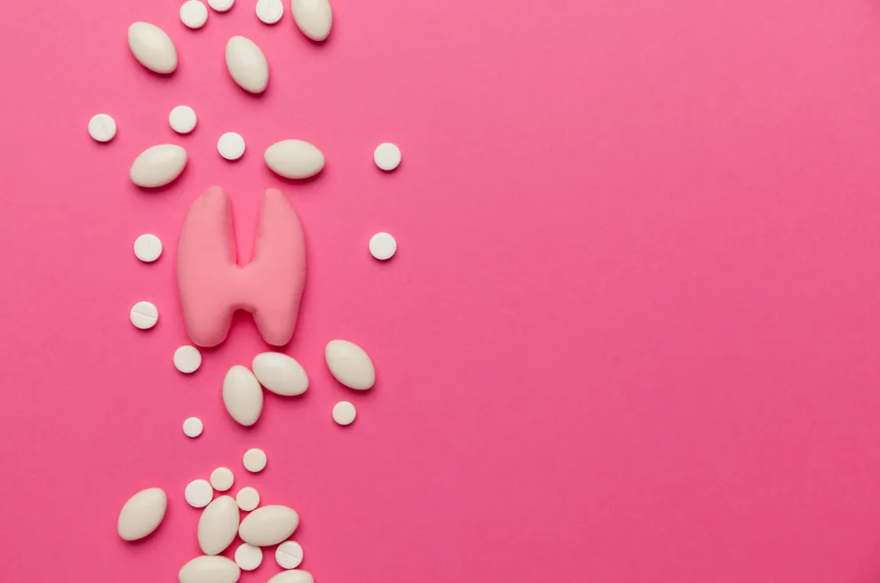 Model of thyroid gland with pills on pink background