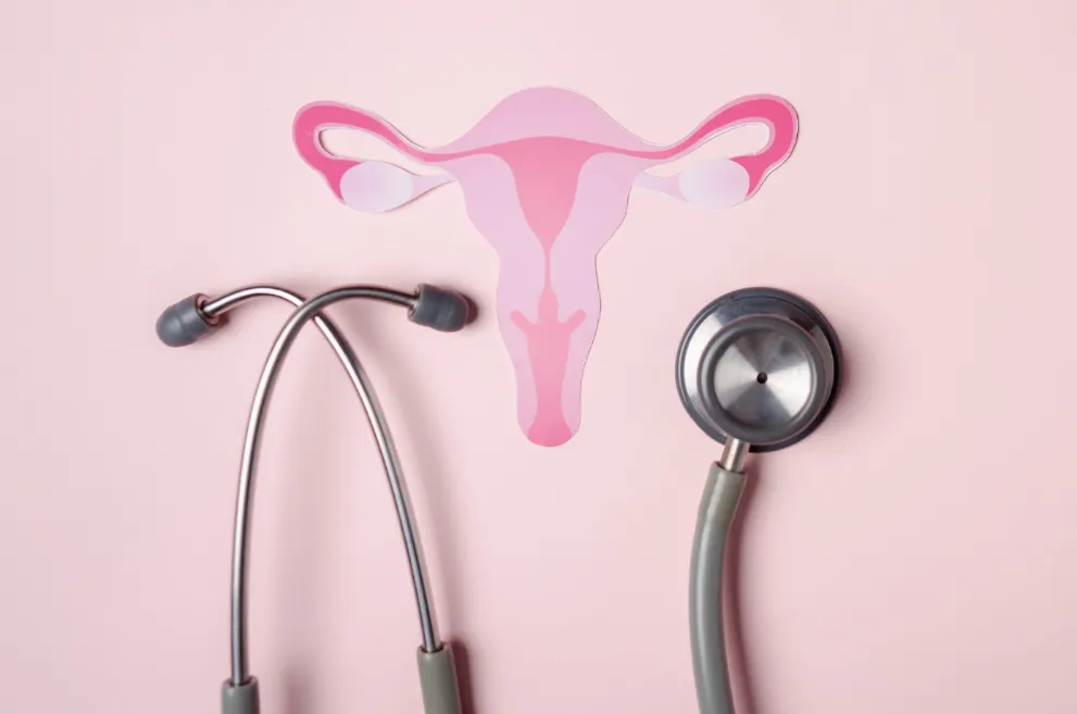 Pink paper cutout of uterus on pink background with stethoscope