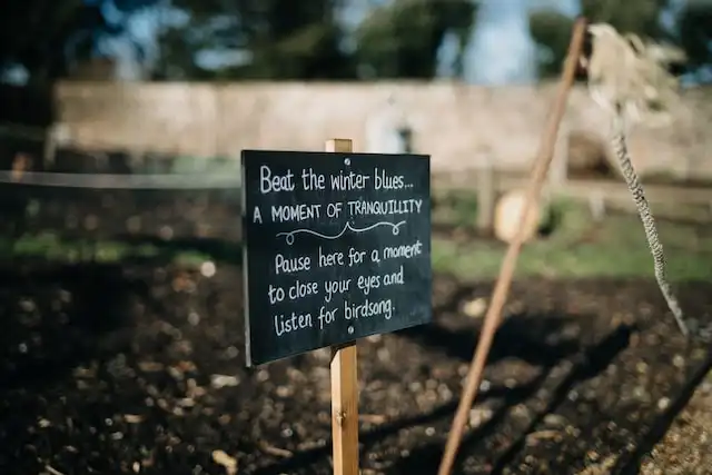 Small chalkboard with beat the winter blues wording